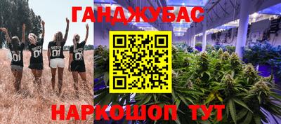 эйфоретик Аргун