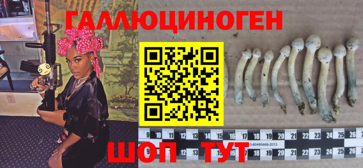 Галлюциногенные грибы Magic Shrooms Астрахань