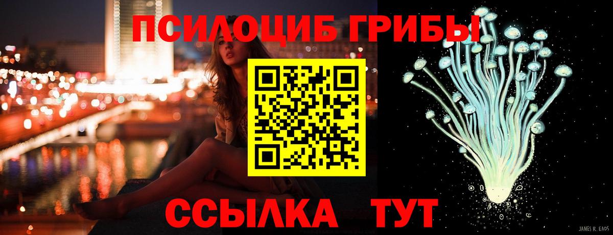 Галлюциногенные грибы GOLDEN TEACHER  как найти закладки  Астрахань  Галлюциногенные грибы мухоморы  Вход с VPN 